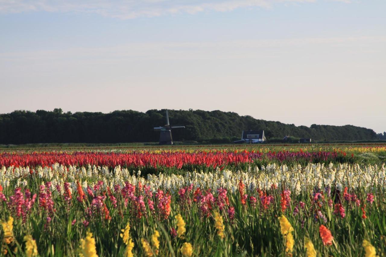 Appartamento Landgoed Swaensborgh Oudesluis  Esterno foto
