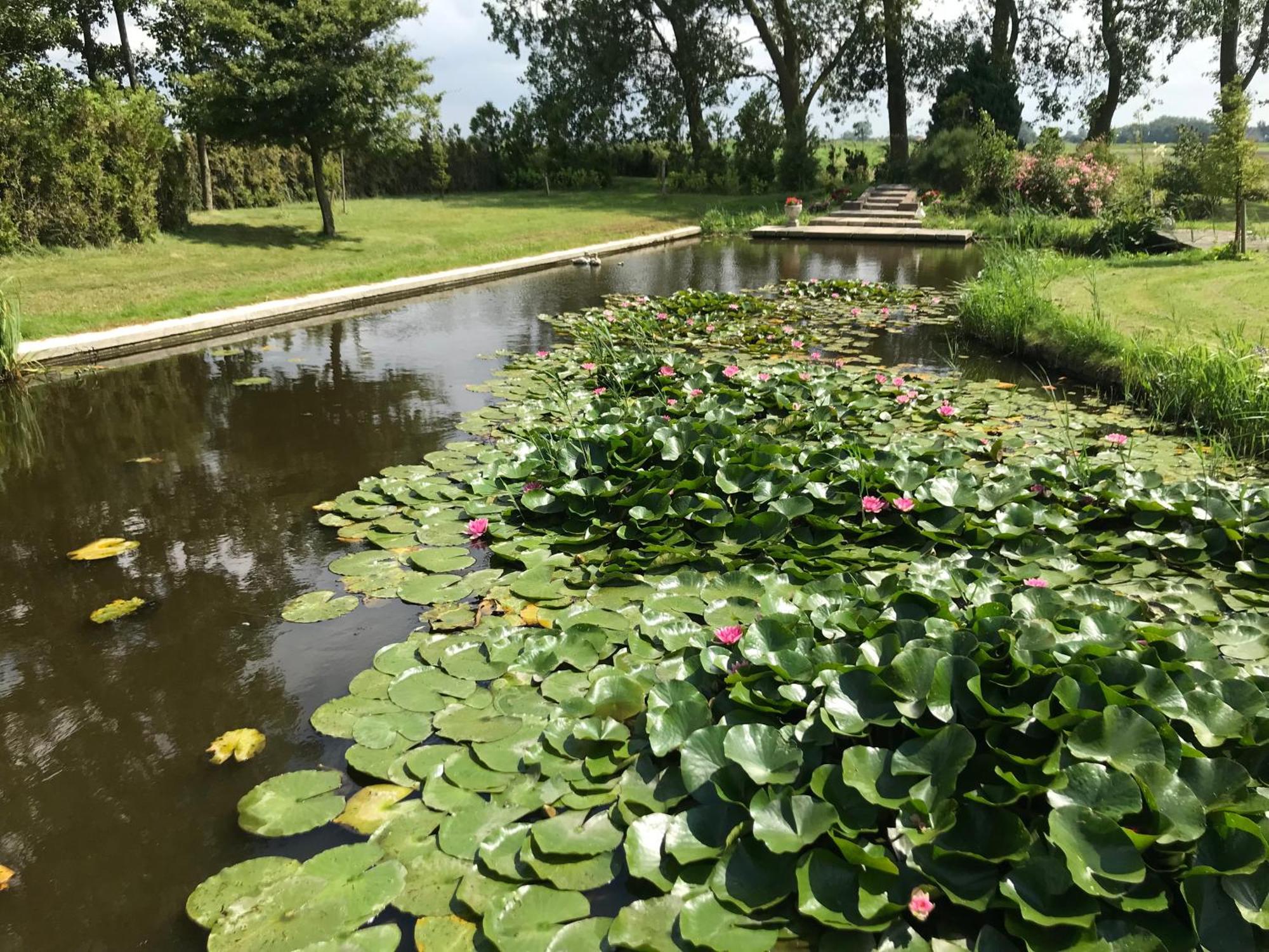 Appartamento Landgoed Swaensborgh Oudesluis  Esterno foto